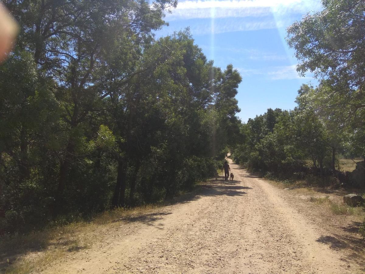 Acogedora Casa Rural En La Sierra De Madrid Mataelpino Kültér fotó