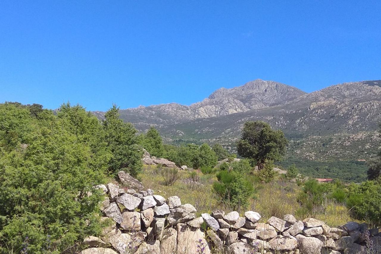 Acogedora Casa Rural En La Sierra De Madrid Mataelpino Kültér fotó