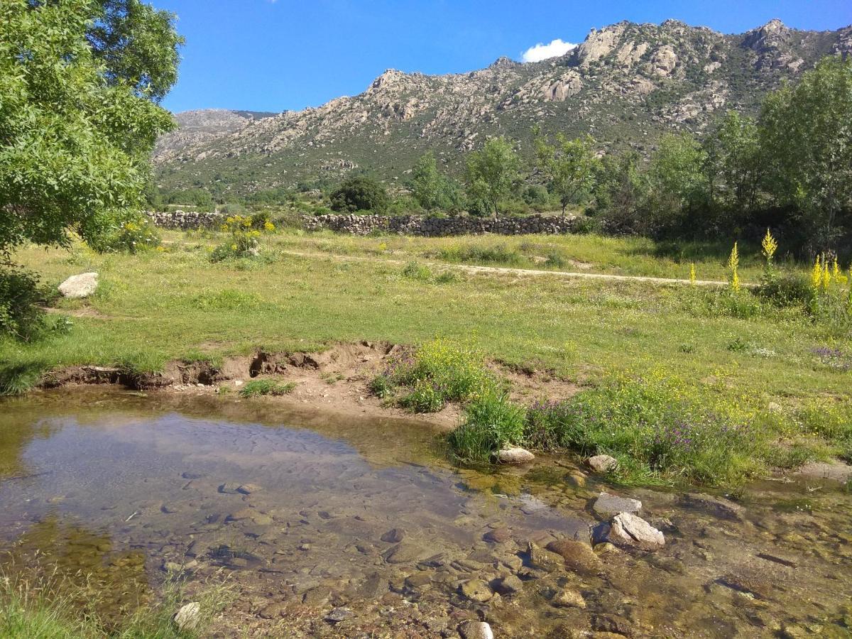 Acogedora Casa Rural En La Sierra De Madrid Mataelpino Kültér fotó