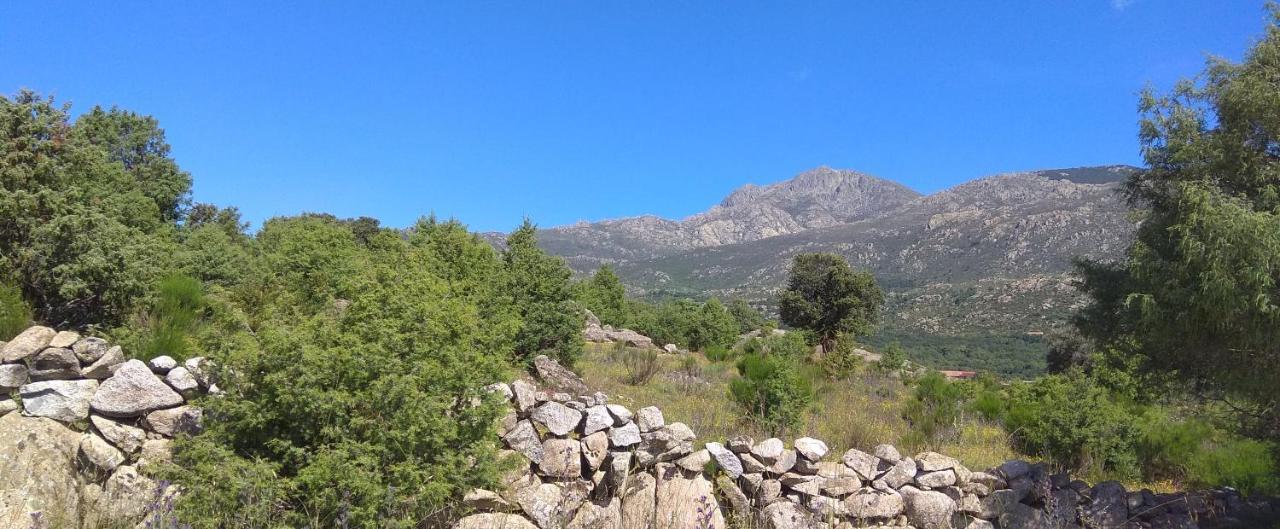Acogedora Casa Rural En La Sierra De Madrid Mataelpino Kültér fotó